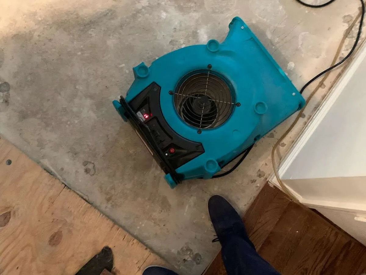Air mover drying subfloor during Leak Detection & Repair in Bellwood